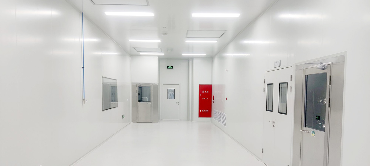 Electronic and Photoelectric Pulvis-liber Workshop